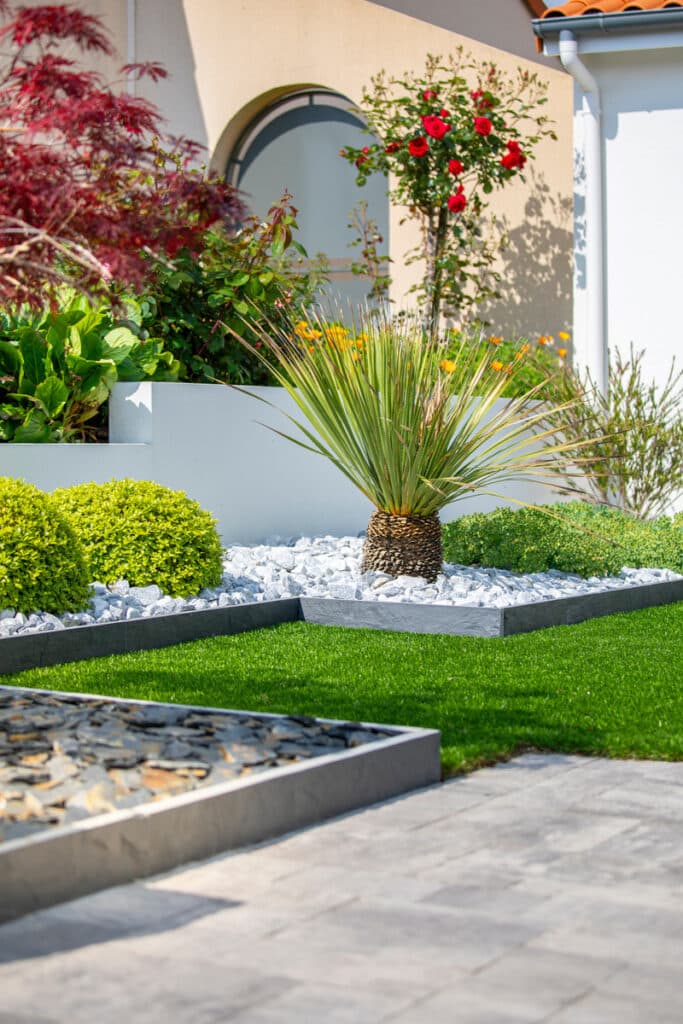 Jardin moderne : pelouse verte, graviers blancs, yucca, buis. Arbres (érable rouge, rosier) devant une maison beige à fenêtre arquée.