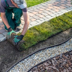 Un jardinier pose du gazon en rouleau près d'une allée pavée, d'une bordure avec du gravier et des copeaux de bois.